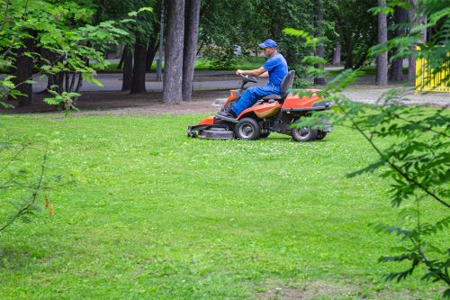 Foto: Rasenmäher mit Mensch
