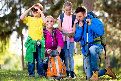 Foto: Familie im Wald